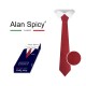 YL1902- ALAN SPICY - Cravate unie classique pour hommes (12 pièces)