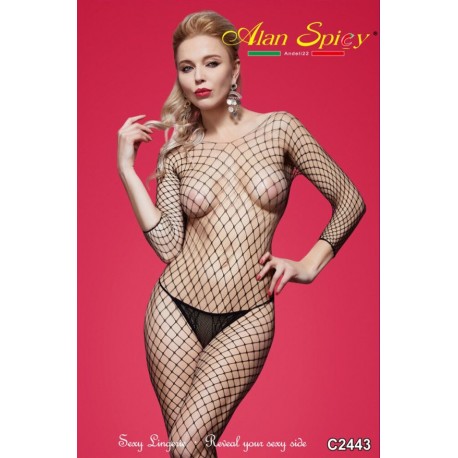 C2443- Sexy Lingerie: Bodystocking in mesh knit